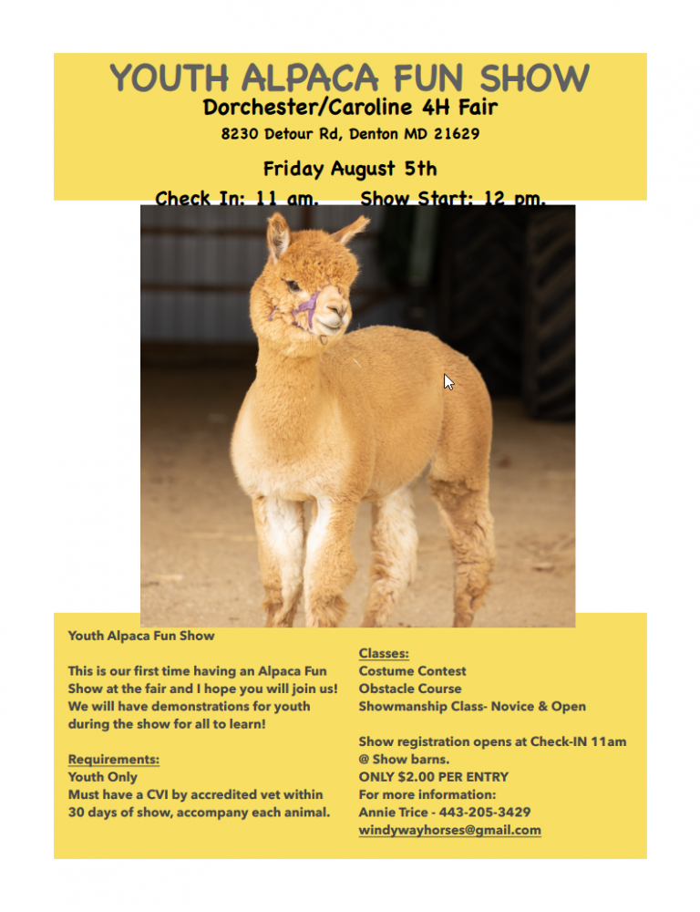 Alpaca Show